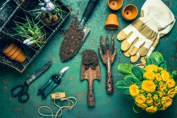 Tips for Gardening in New Jersy.Best tools to Use.